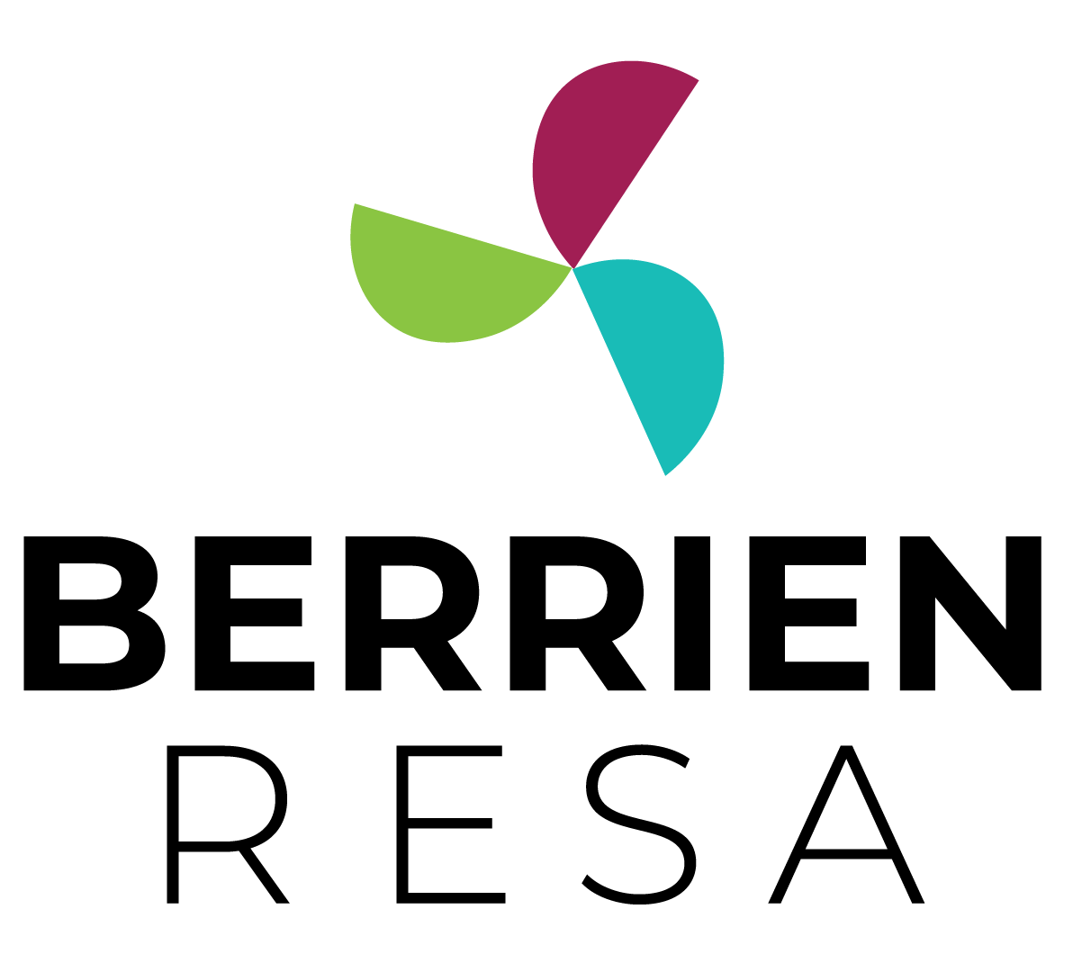 System Logo