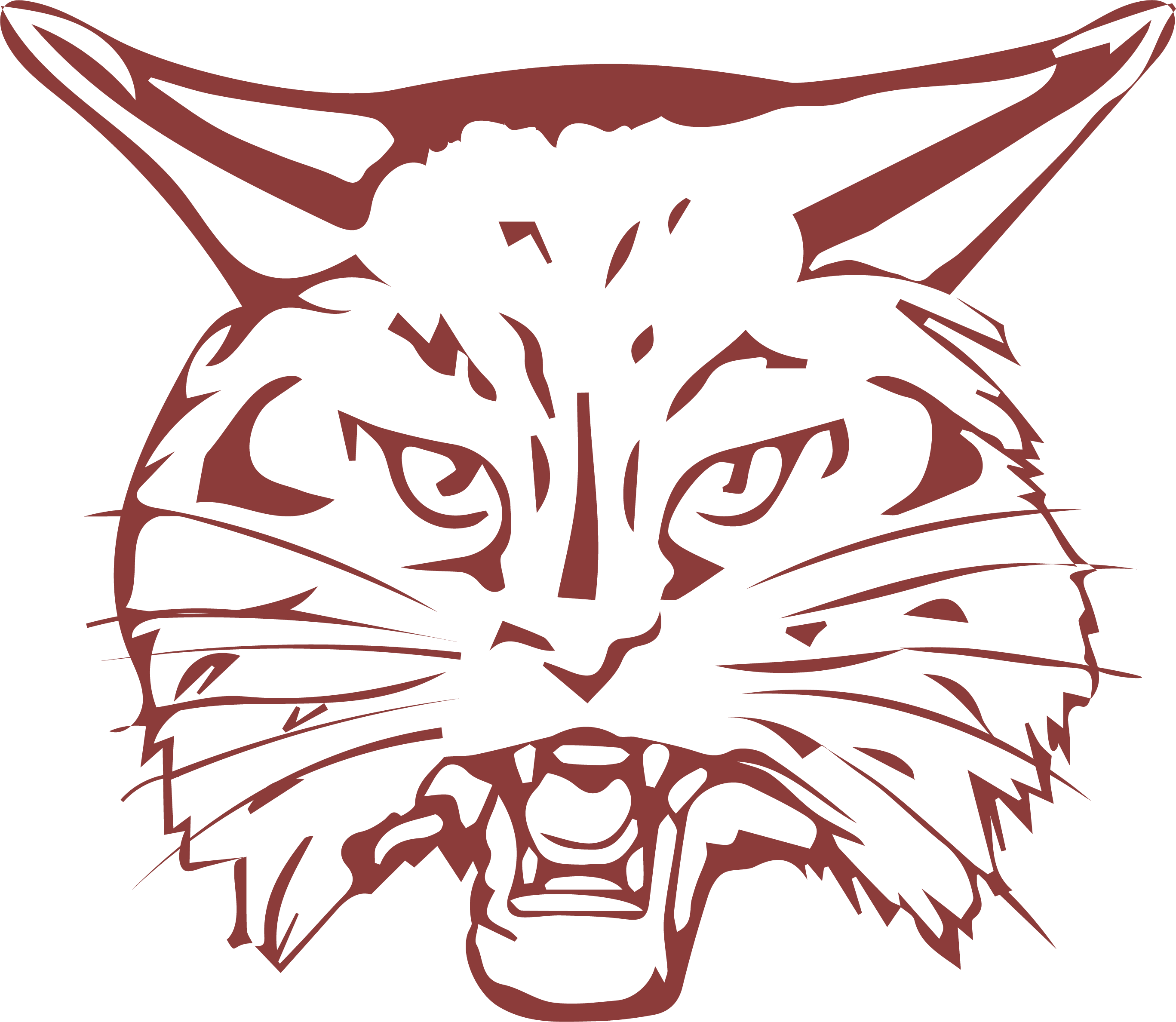 System Logo