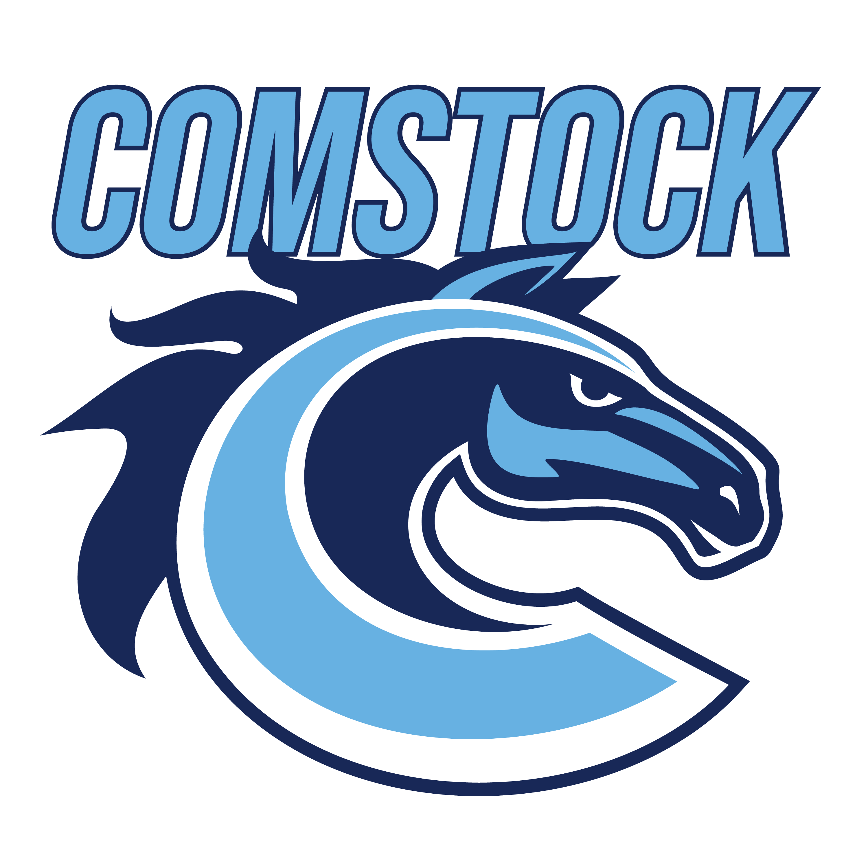 System Logo