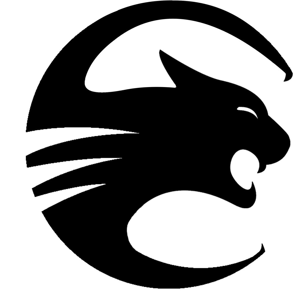 System Logo